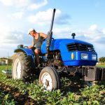 A farmer on a tractor cultivates a potato plantation. Agroindustry and agribusiness. Field work cultivation. Farm machinery. Work on the farm. Soil quality improvement. Plowing and loosening ground
